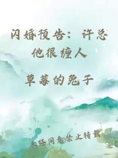 闪婚预告：许总他很缠人