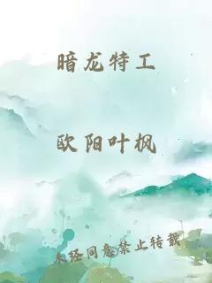暗龙特工