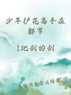 少年护花高手在都市