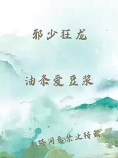 邪少狂龙