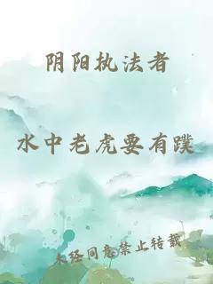 阴阳执法者