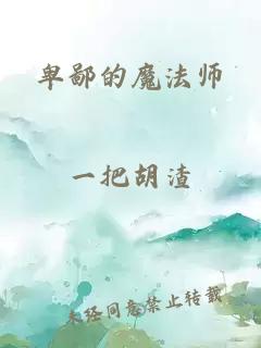 卑鄙的魔法师