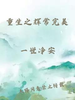 重生之辉常完美