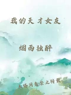 我的天才女友