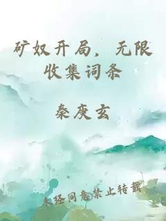 矿奴开局，无限收集词条