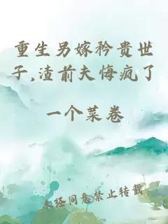 重生另嫁矜贵世子,渣前夫悔疯了