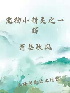 宠物小精灵之一辉