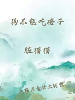 狗不能吃橙子