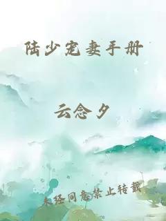 陆少宠妻手册