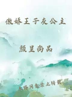 傲娇王子灰公主