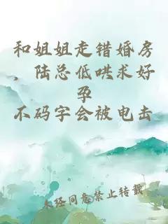 和姐姐走错婚房,陆总低哄求好孕