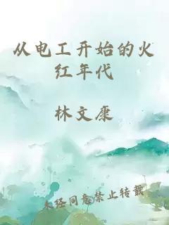 从电工开始的火红年代