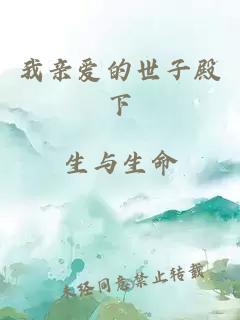 我亲爱的世子殿下