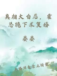 真相大白后，霍总跪下求复婚