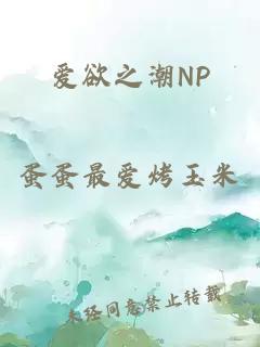 爱欲之潮NP
