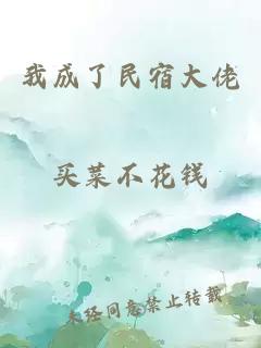 我成了民宿大佬