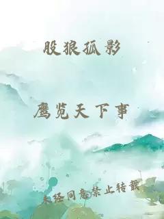 股狼孤影