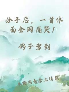 分手后，一首体面全网痛哭！