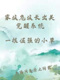 家族危族长出关觉醒系统