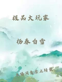 极品大玩家