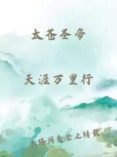 太苍圣帝