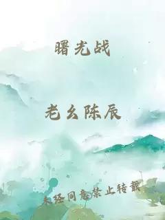 曙光战