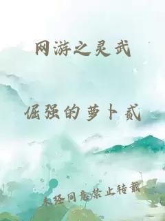 网游之灵武