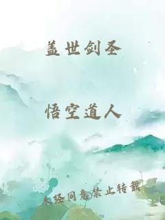 盖世剑圣