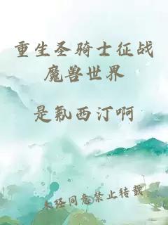 重生圣骑士征战魔兽世界