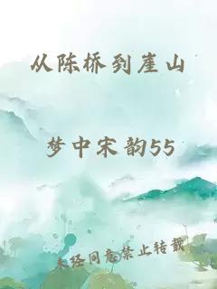从陈桥到崖山