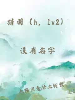 猎羽（h，1v2）