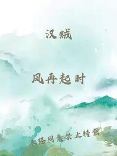 汉贼