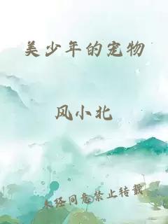 美少年的宠物