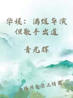 华娱：满级导演但歌手出道