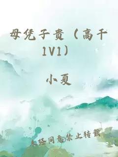 母凭子贵（高干1V1）