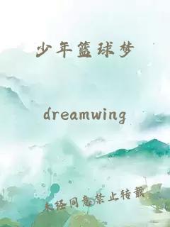 少年篮球梦