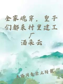 全家魂穿，皇子们都来村里建工厂
