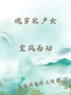 魂穿农户女
