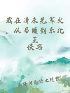 我在清末兑军火,从马匪到东北王