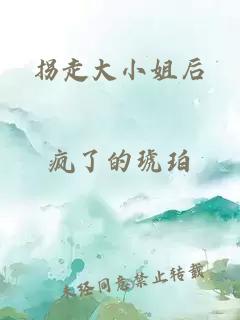 拐走大小姐后