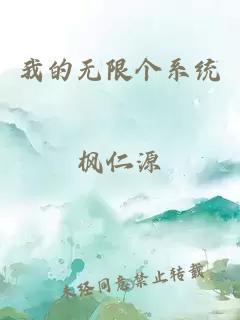 我的无限个系统
