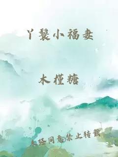 丫鬟小福妻
