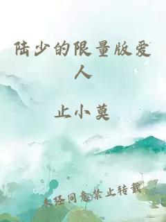 陆少的限量版爱人