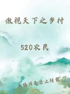 傲视天下之乡村