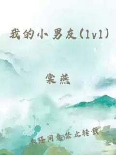 我的小男友(1v1)