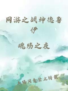 网游之战神德鲁伊