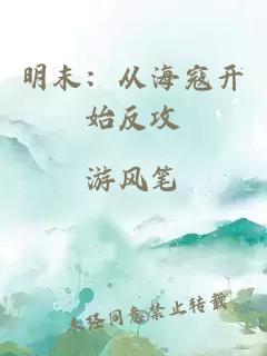 明末：从海寇开始反攻