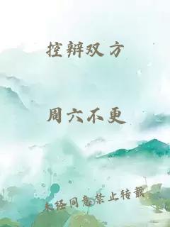 控辩双方