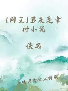 [网王]男友是幸村小说