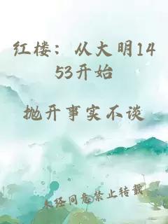 红楼：从大明1453开始